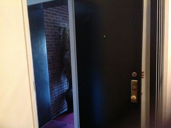 3rd image of 6928 S Michigan Ave #1