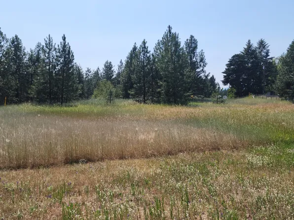 LOT 5 W Evergreen Dr, Kettle Falls, WA 99141