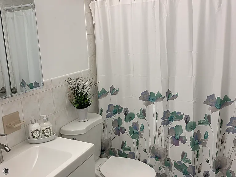Full bathroom, with shower and tub