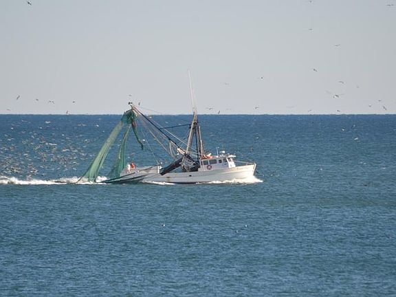 Elegant shrimp boats are wonderful to watch.