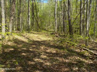 Steve Brown Rd, Bean Station, TN 37708