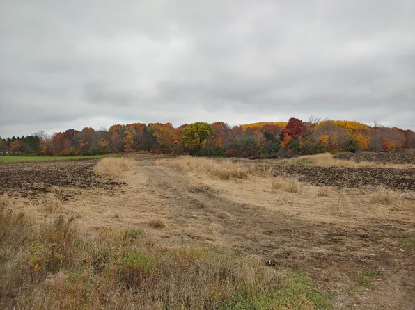 LOT 1 80th St NW, Buffalo, MN 55313