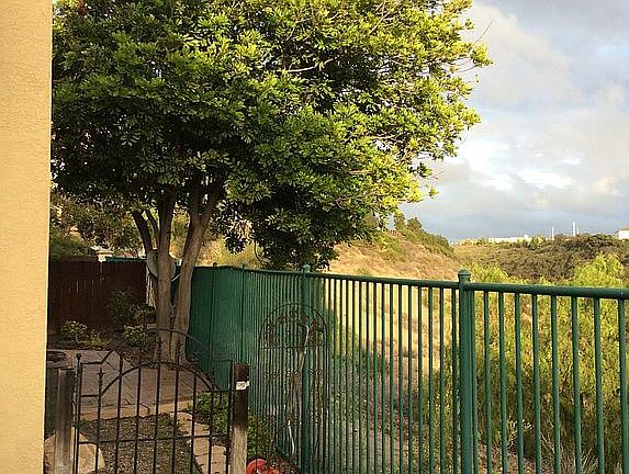 3rd image of 1007 Caminito Estrella