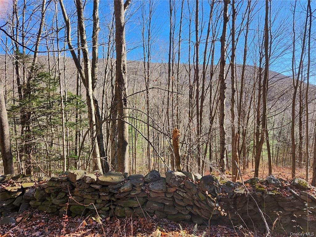 20 Gossoo Road, Shandaken, NY 12480 MLS H6279089 Zillow