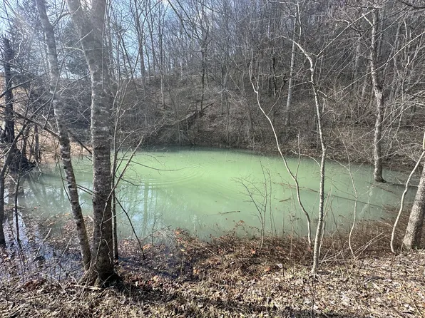 0 Little Creek Rd, Pleasant Shade, TN 37145