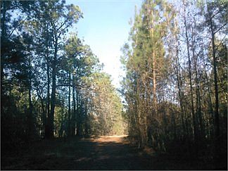 1st image of 247 Benchwood Dr