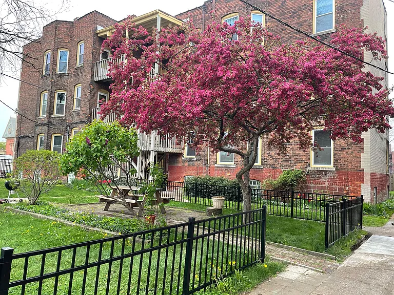 4762 2nd Ave #B1 — Photo 3