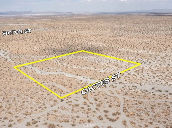 31001214 Cactus Rd, Pinon Hills, CA 92372