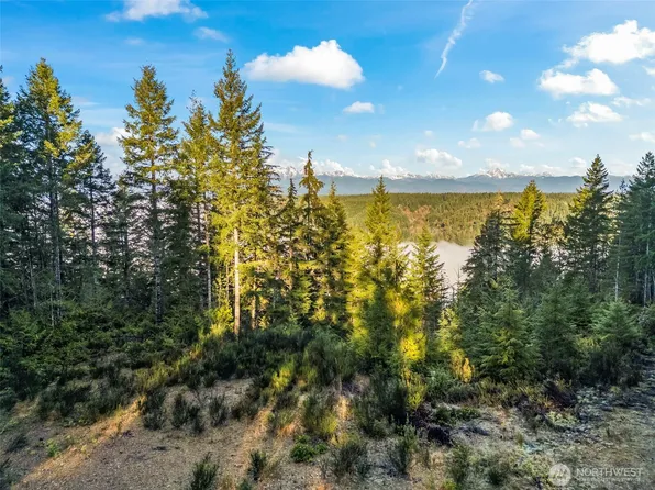 1133 E Timber Tides Drive, Union, WA 98592