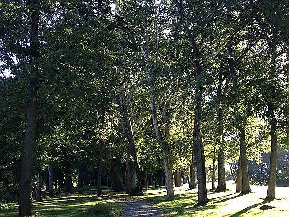 Community Trail