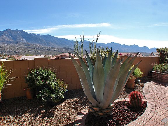 Fantastic Unobstructed Views