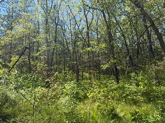 3rd image of PARCEL B W Usfs #5196
