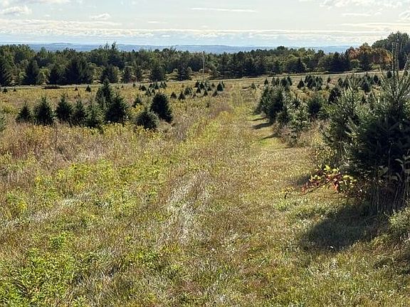 4th image of 0 W Ridge Road