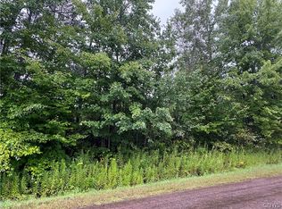 Stinebrickner Rd, West Leyden, NY 13489