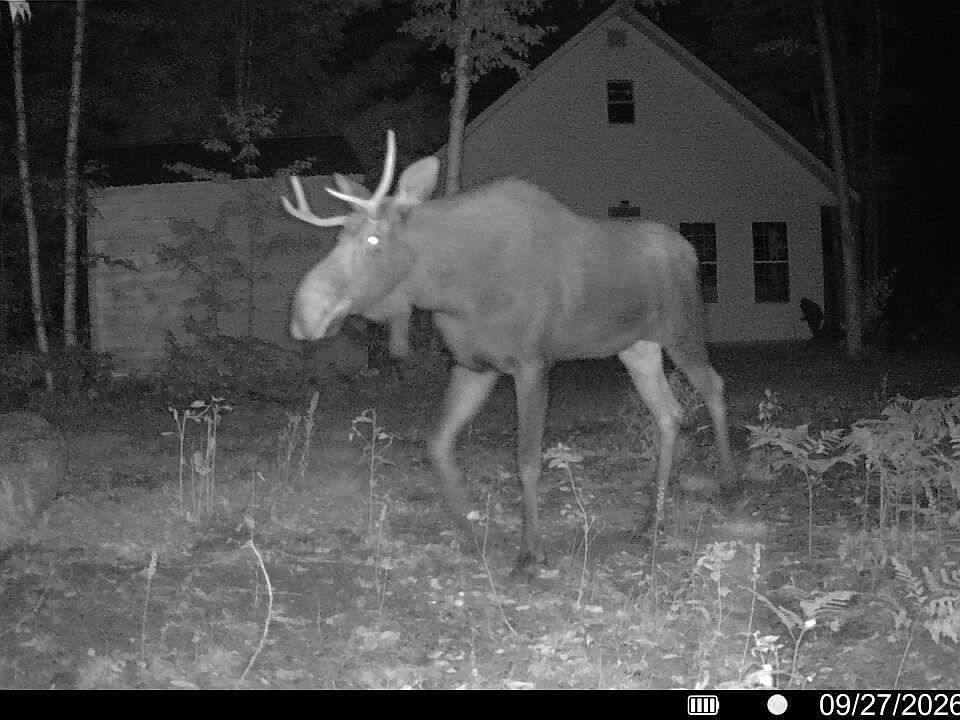 1st image of Off Route 192