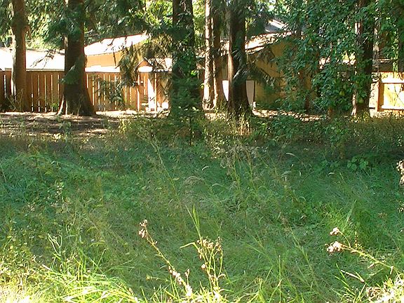 5th image of 464 SE 26th Ave