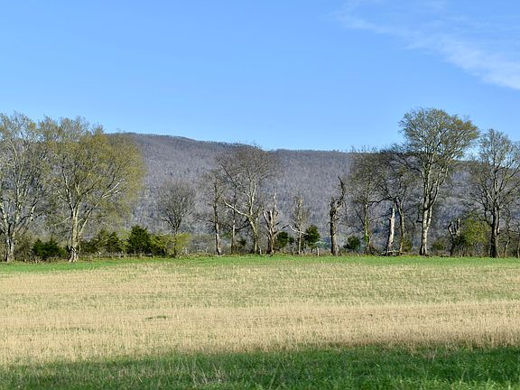 5th image of 20092 Old State Highway 28