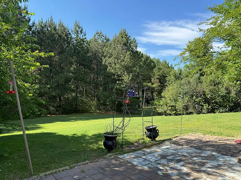 Backyard woodline