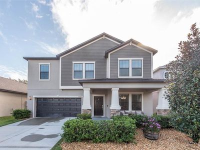 14248 Blue Dasher Dr, Riverview, FL, 33569