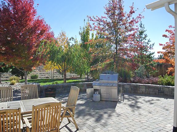 Colors of trees in the fall