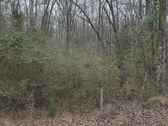 3rd image of 322 Tucker Rd