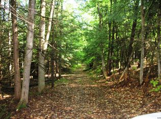 Mud Lake Rd, Summit, NY 12149