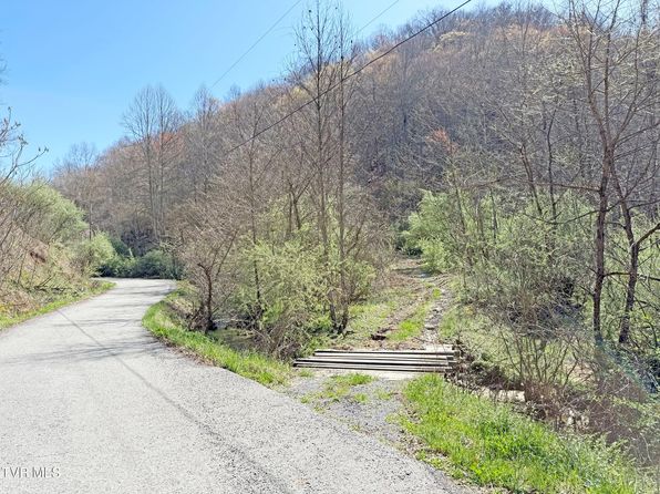 0 Guesses Fork Rd, Hurley, VA 24620