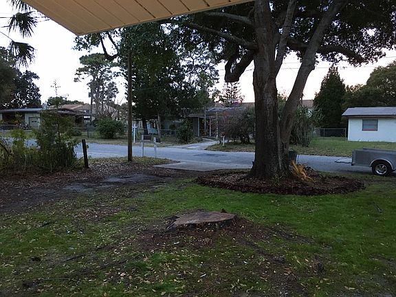 Shady yard