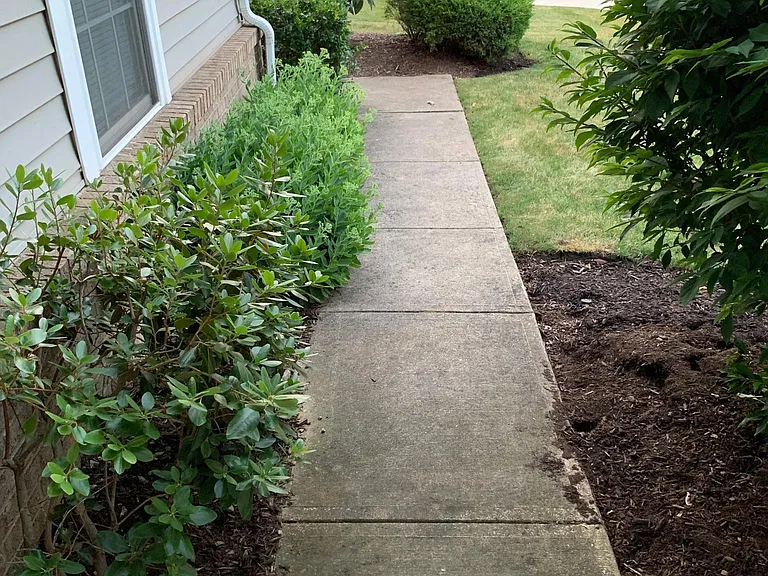 32001 Magnolia Ln — Photo 3