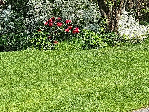 5th image of 1800 Moose Hill Road