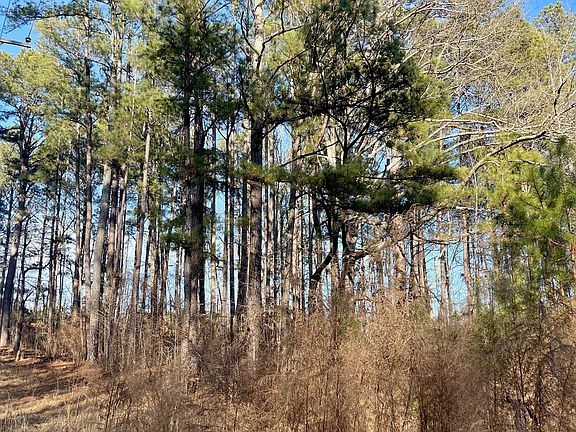 2nd image of 0 Padgett Rd #6