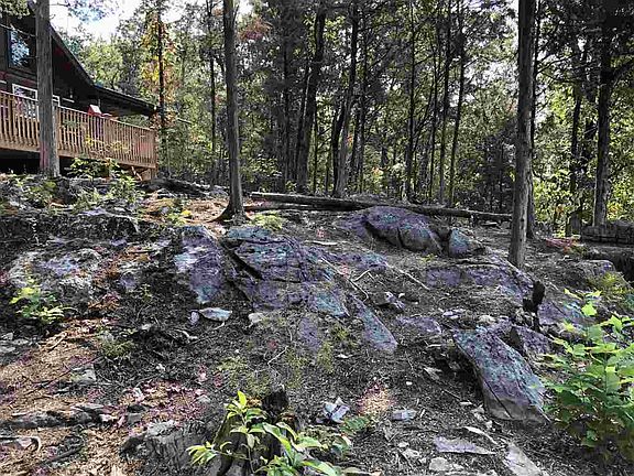 4th image of 1023 Secluded River Cir