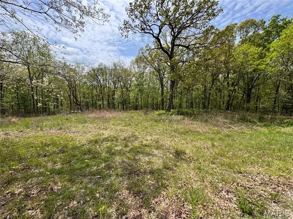 195 Stoney Point Dr, Whitewater, MO 63785