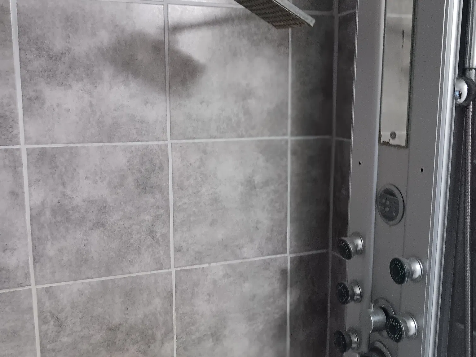 2 bed, 800 sqft, $1,350 — Photo 3