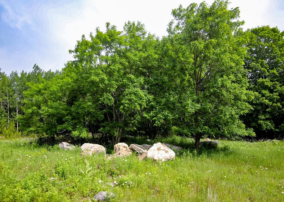 1st image of LOT 2 County Road F