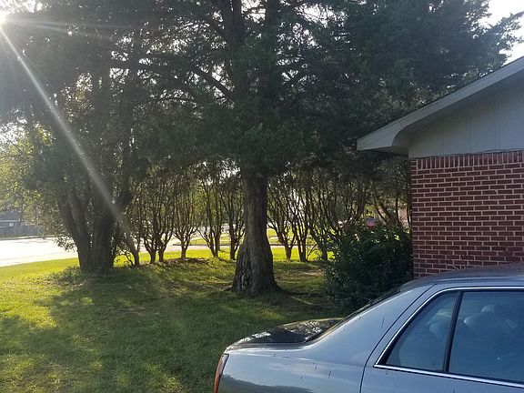 Privacy bushes in front