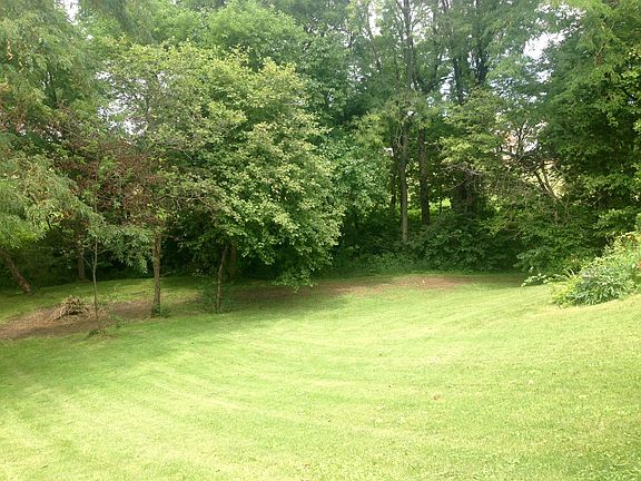spacious wooded back yard