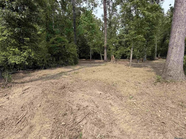 4343 Feliciana Dr, Clinton, LA 70722
