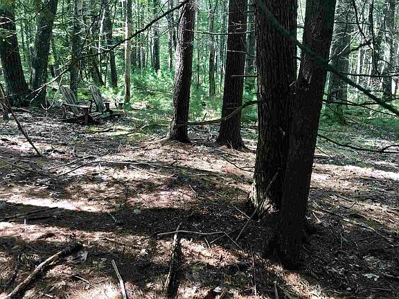 2nd image of 10 Stony Creek Ln