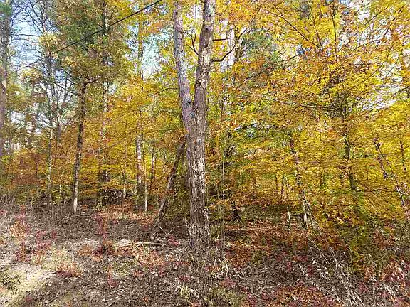 5th image of Tract 2 Auburn Ln Parcel #54.04