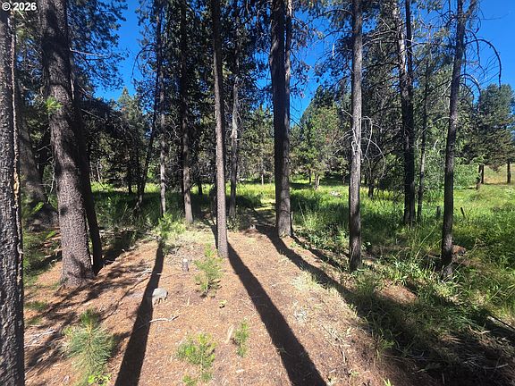 2nd image of 17040 Island Loop Way