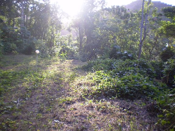 5th image of Lot 17 Rd 174 Sector Munoz Juan Ascensio War