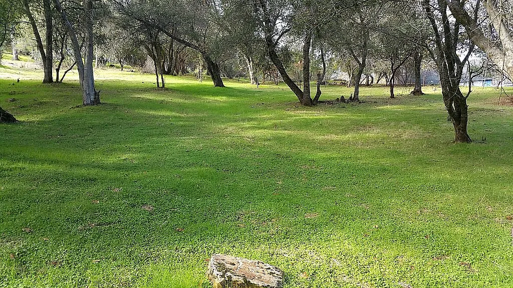 19240 Ferretti Rd photo 1