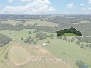 9/ACRE S McClarty Rd, Horton, AL 35980