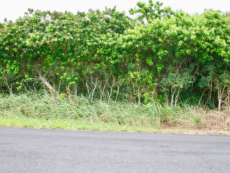 1st image of Kia Lua St Lot 201