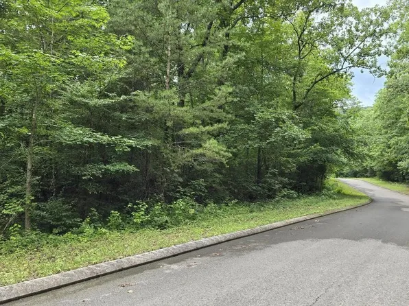 135 Lower Brow Rd Lot 135, Dunlap, TN 37327