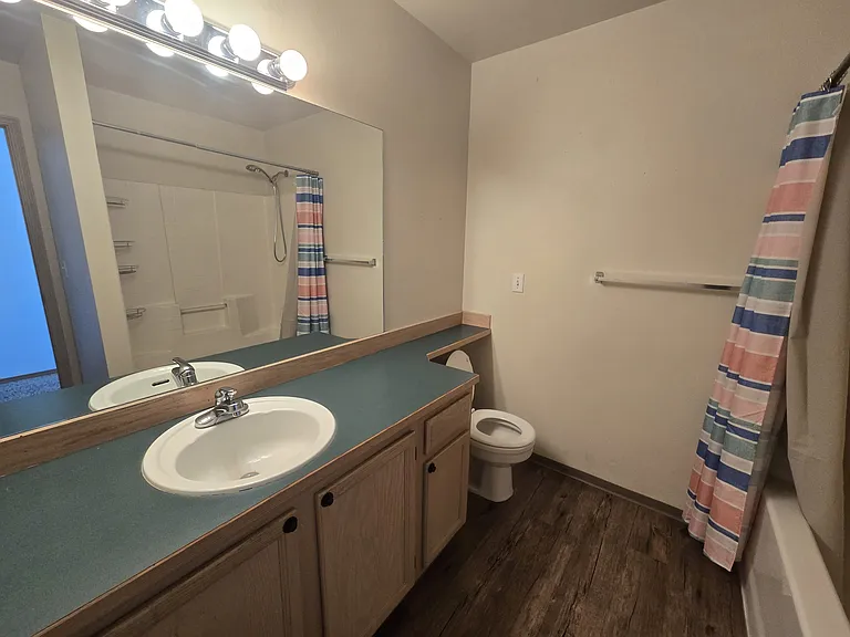 Main bathroom