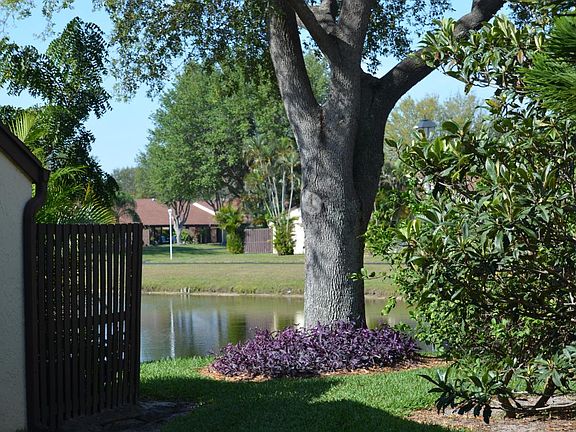 Beautiful lake and Trees