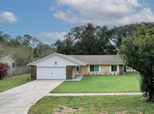 3020 Mary Ln, Mount Dora, FL 32757