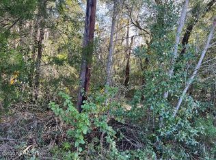 317 5th Way, Interlachen, FL 32148